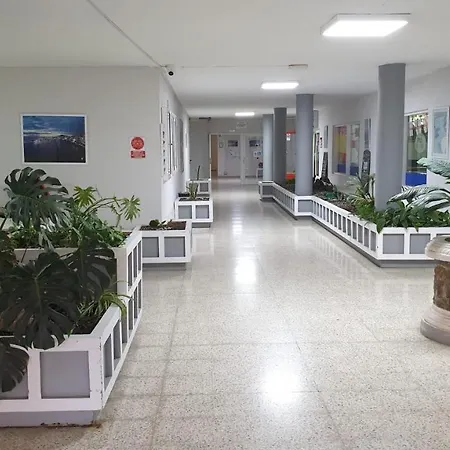 Mirador Costamar Tenerife Apartment Los Cristianos (Tenerife)